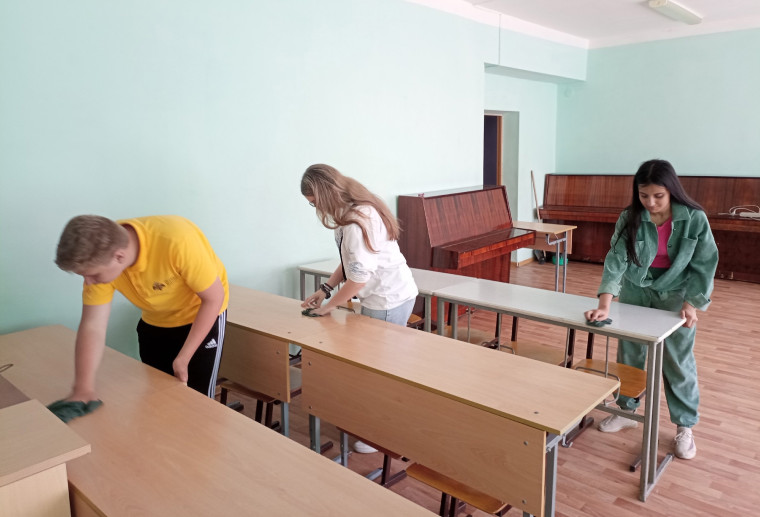 Трудовая деятельность.